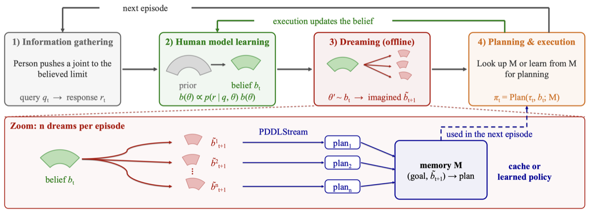 ABLE: Anticipating Belief Updates for Learning Efficient TAMP